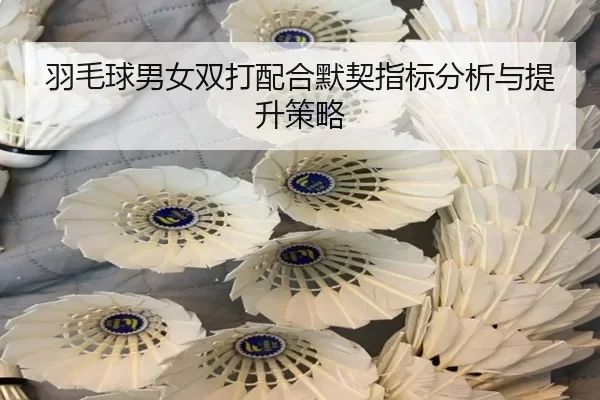 羽毛球男女双打配合默契指标分析与提升策略